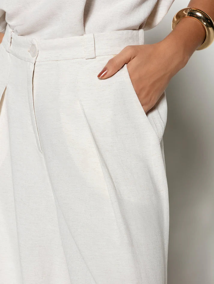 CALÇA PANTALONA COM PREGAS E BOLSOS FACA BIAMAR 12045